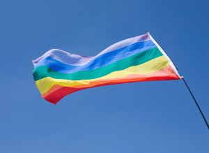 n-GAY-FLAG-large300