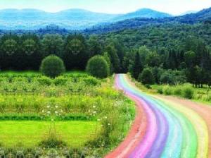 rainbow-path.jpg~original